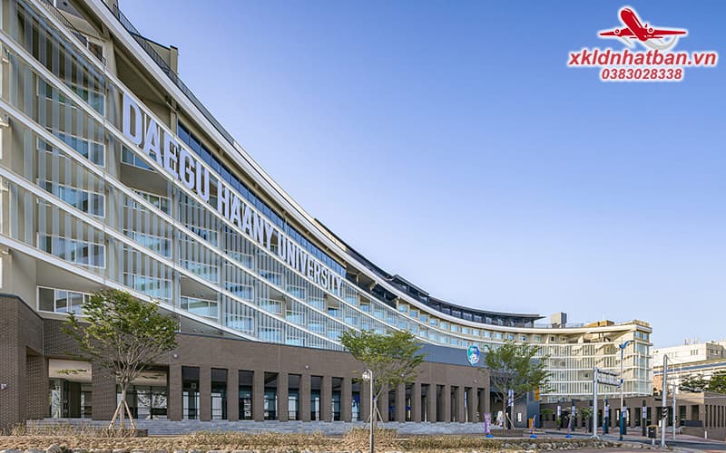 đại học daegu hàn quốc