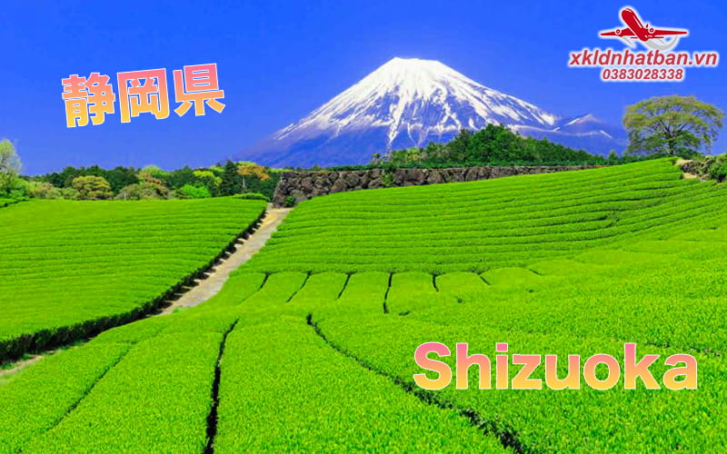 Tỉnh shizuoka, Nhật Bản