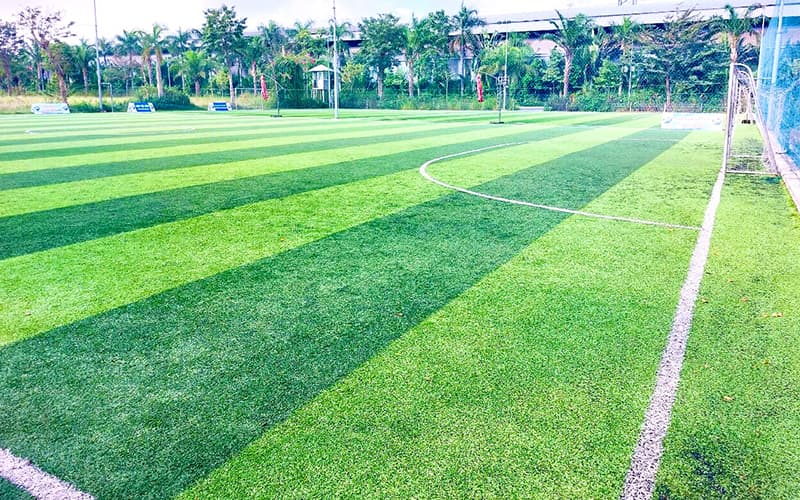 Sân vận động thể thao